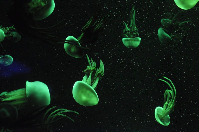 Microbial Life